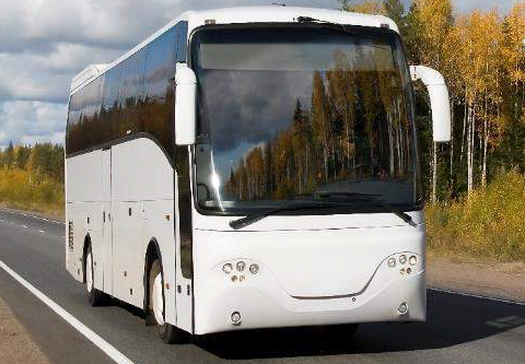 バス／トラック