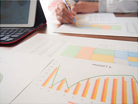 調査・分析・現地同行